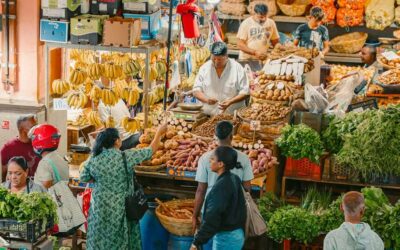 Port Louis and Northern Highlights Full-Day Trip