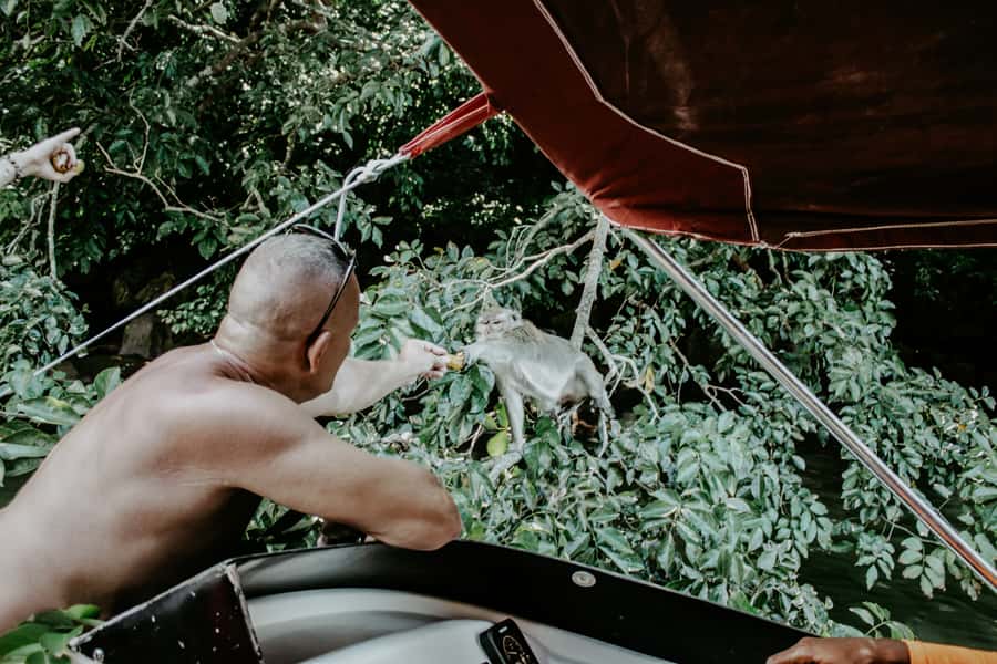 Mauritius: Private 5 Island Tour with Ile aux Cerfs - Forty minutes of snorkeling near Grand Port
