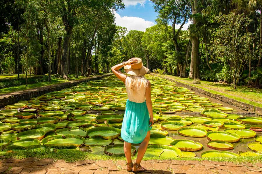 Mauritius: Private Full-Day Iconic Instagram Spots - Why this private island tour works