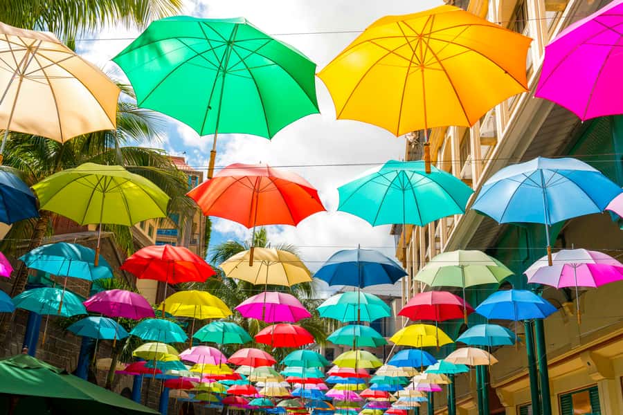Mauritius: Private Full-Day Iconic Instagram Spots - Pamplemousses Botanical Garden and its old palms