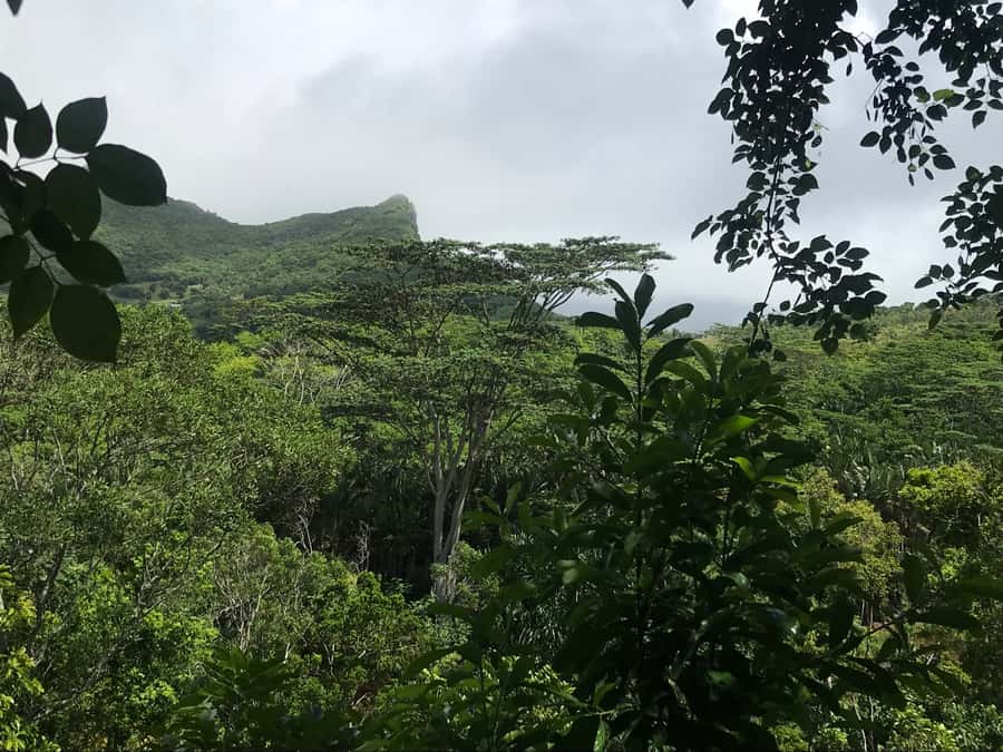 Mauritius: Private Full-Day Iconic Instagram Spots - Chamarel Falls, the final major view