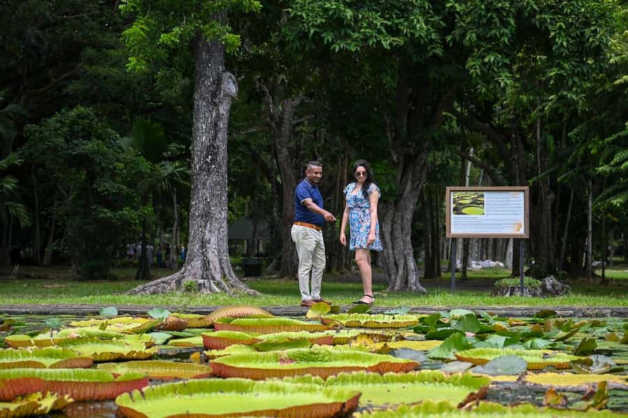 Mauritius: Private Full-Day North Mauritius Tour - Port Louis: Markets, Waterfront Shops, and City History