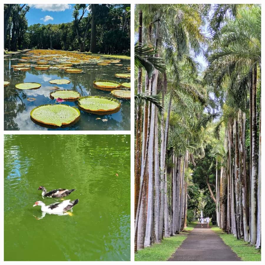 Mauritius: Private Full-Day North Tours - Why this north Mauritius route works