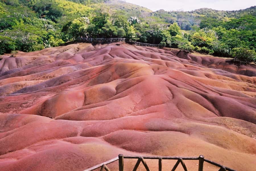 Mauritius: Private Full Day Tour with Entry Tickets & Lunch - Is $386 good value for two people?