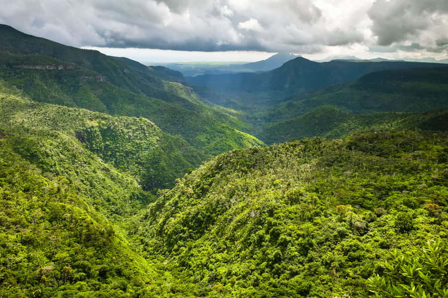Mauritius: Private Full Day Tour with Entry Tickets & Lunch - Mare aux Vacoas and the cooler Plaine Champagne forest