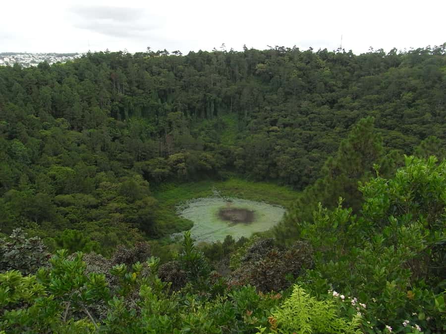 Mauritius: Private Full Day Tour with Entry Tickets & Lunch - Alexandra Falls, short walking, and high views