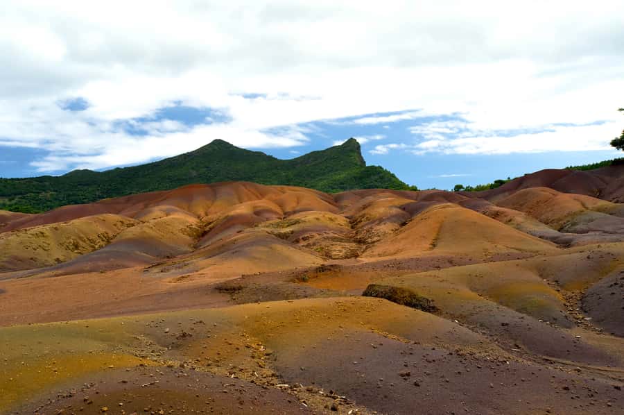 Mauritius: Private Full Day Tour with Entry Tickets & Lunch - Lunch with a taste of ordinary Mauritius