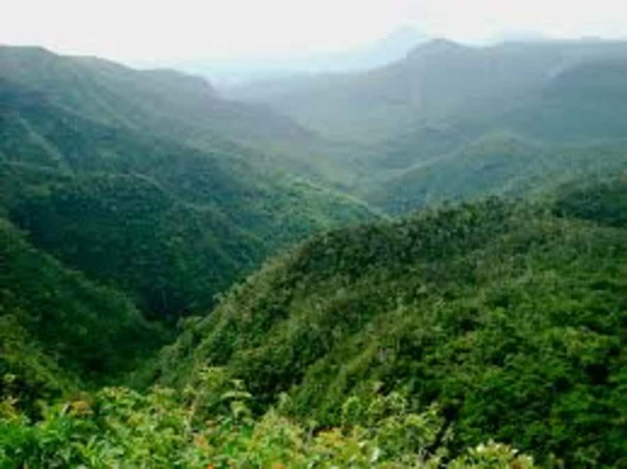 Mauritius: Private Guided South Tour with Pickup - Transport, pickup, and the eight-hour schedule