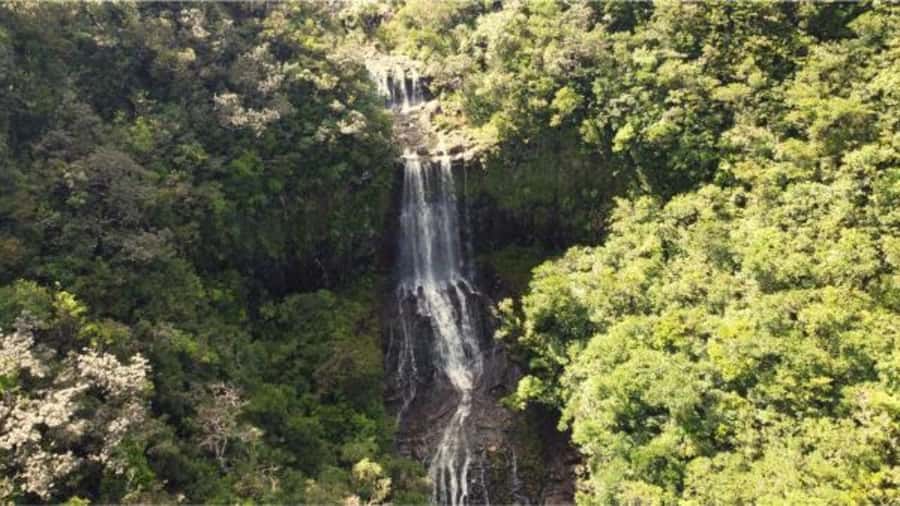 Mauritius: Private Guided South Tour with Pickup - Who will enjoy this tour most