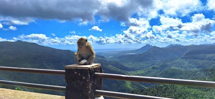 Mauritius: Private South Day Tour with Hotel Transfer - Grand Bassin and Ganga Talao: a respectful cultural stop