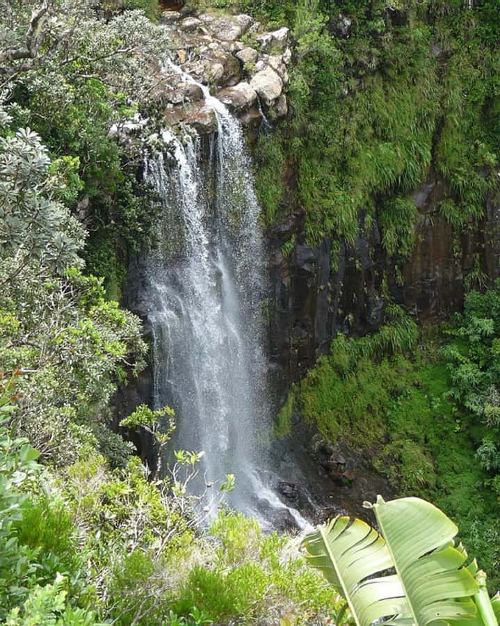 Mauritius: Private South Day Tour with Hotel Transfer - Alexandra Falls and Black River Gorges viewpoints