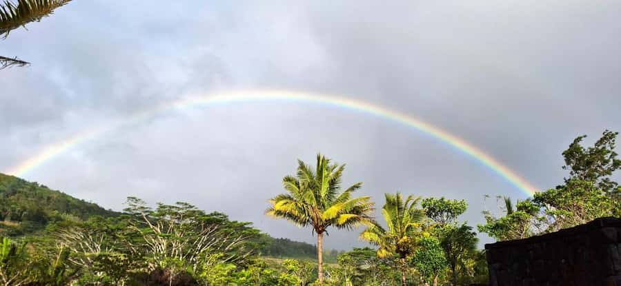 Mauritius: Private South Day Tour with Hotel Transfer - La Rhumerie de Chamarel: more than a tasting