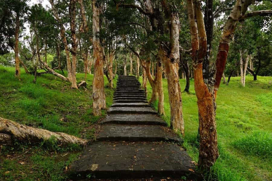 Mauritius: Private South Day Tour with Hotel Transfer - Transport, timing, and comfort