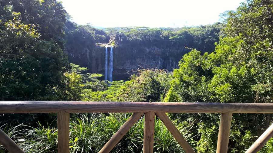 Mauritius: Private South Side and Dolphin Adventure Tour - Key points to know before booking