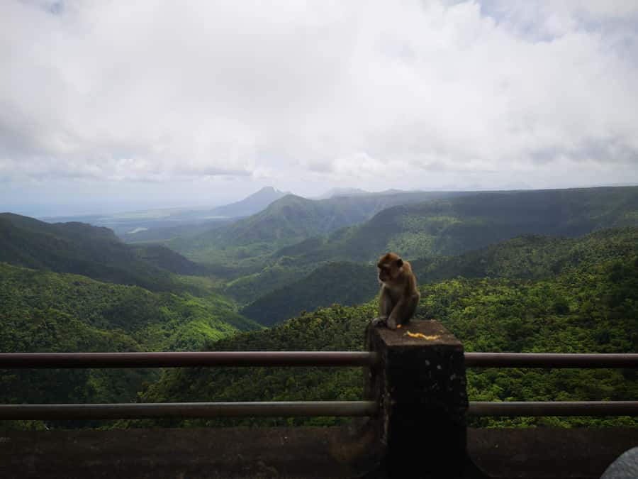 Mauritius: Private South Tour with Pickup - Why a private car makes this seven-hour route work