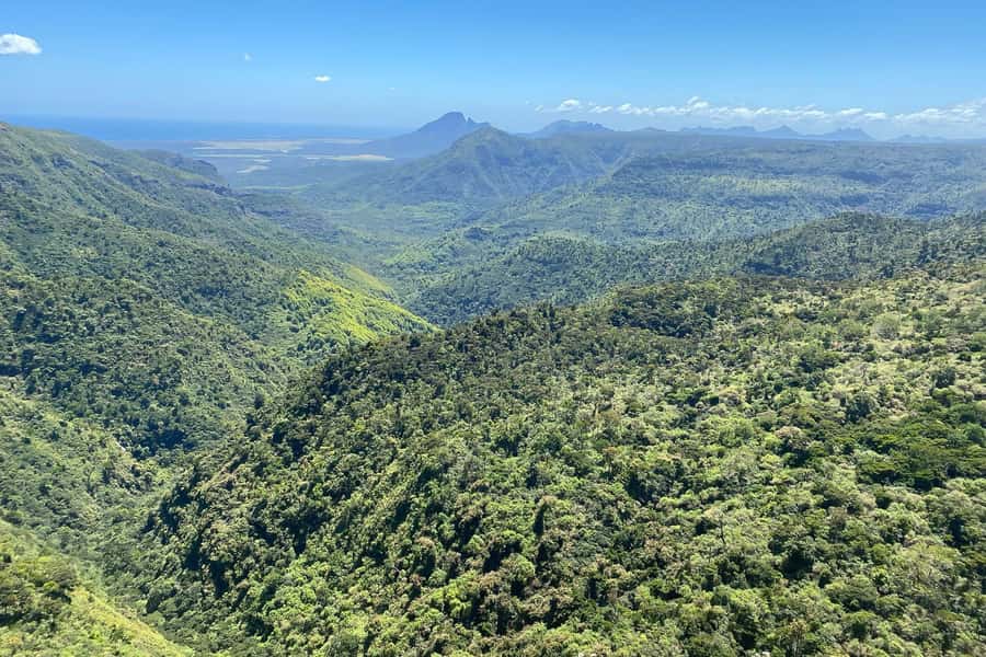 Mauritius: Private South-West Nature & Viewpoints with Lunch - Key reasons this tour works well