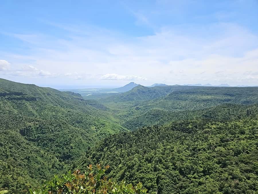 Mauritius: Private Southwest Chamarel Highlights Tour - Mare aux Vacoas and the long views south