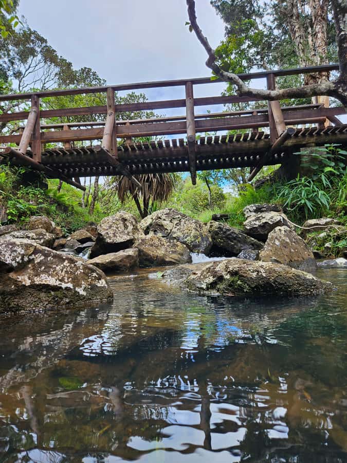 Mauritius: Private Southwest Chamarel Highlights Tour - Grand Bassin, where scenery meets Hindu faith