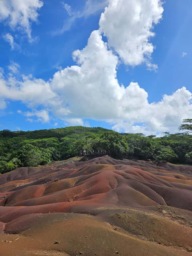 Mauritius: Private Southwest Chamarel Highlights Tour - Lunch at a local restaurant