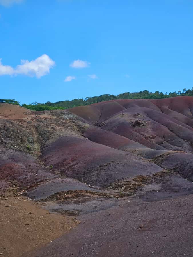 Mauritius: Private Southwest Chamarel Highlights Tour - The optional Chamarel rum distillery