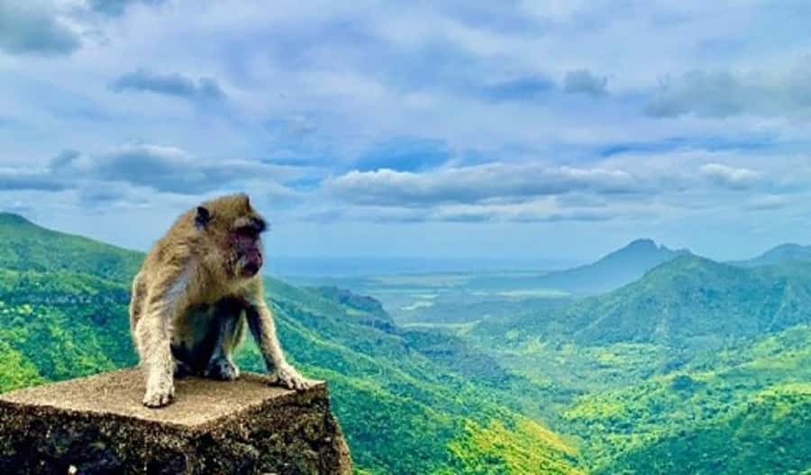Mauritius: Private Southwest Day Tour - Seven Colored Earth, Chamarel, and the rum stop