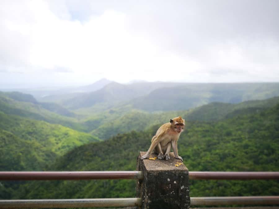 Mauritius: Private Southwest Tour with Pickup - Alexandra Falls and Black River Gorges