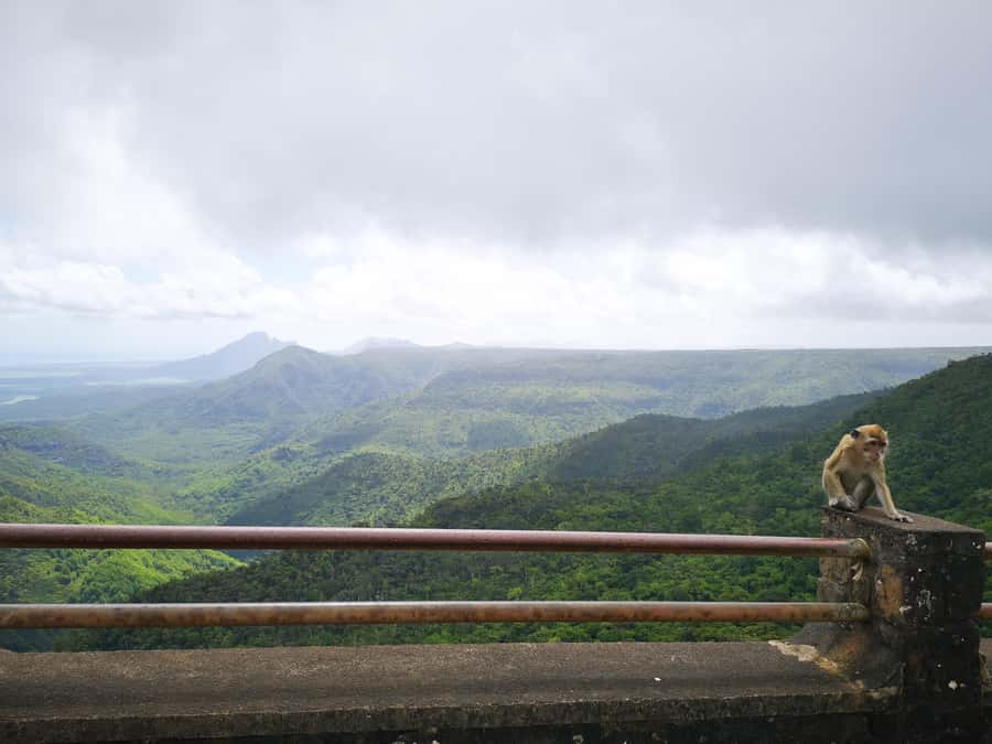Mauritius: Private Southwest Tour with Pickup - Chamarel Seven Coloured Earth: the visual finale