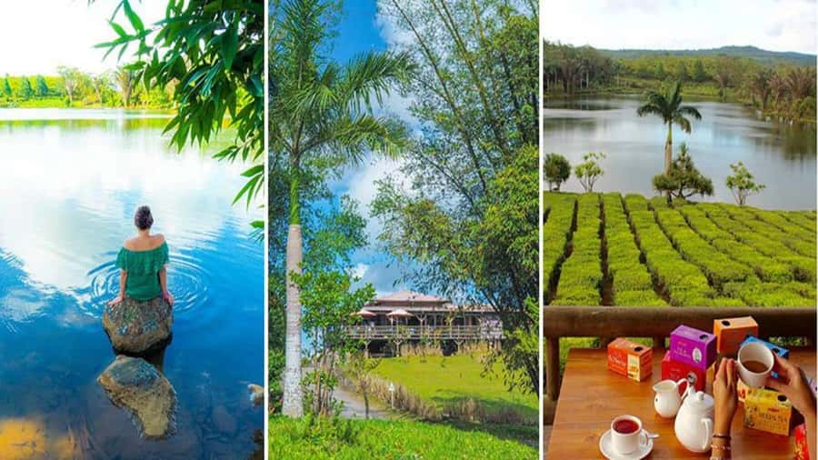 Mauritius : private wild south fullday tour - What the eight-hour route gives you