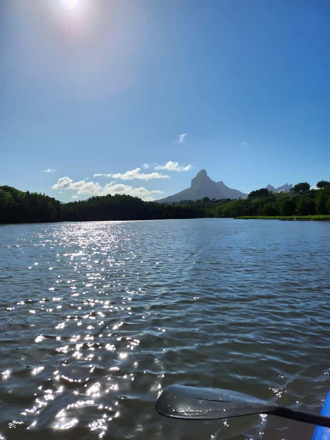 Mauritius: River Guided Kayak Tour with Monkeys - Starting at Lakaz Kayak in Tamarin