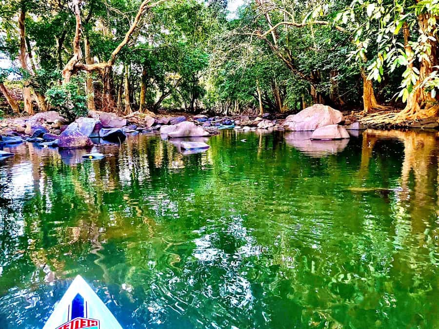 Mauritius: River Guided Kayak Tour with Monkeys - Should you book the Rempart River kayak tour?