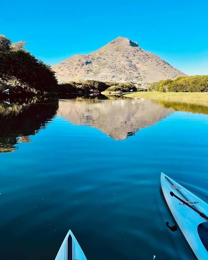 Mauritius: River Guided Kayak Tour with Monkeys - Watching monkeys beside the riverbanks
