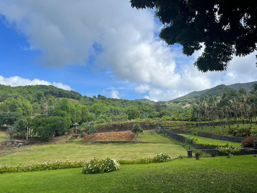Mauritius: Scenic Bike Trails with Gear & Shuttle - Choosing between green, blue, and red trails