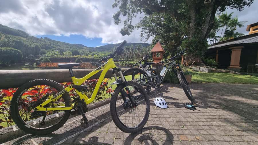 Mauritius: Scenic Bike Trails with Gear & Shuttle - Equipment, safety, and coaching