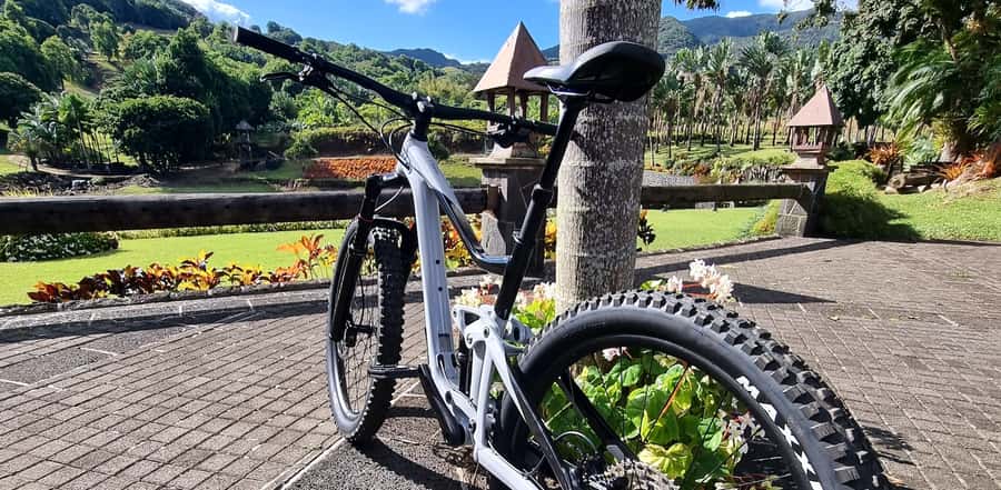 Mauritius: Scenic Bike Trails with Gear & Shuttle - Who should book this ride?