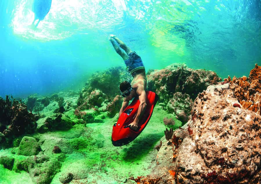 Mauritius: Seabob Diving Experience - What You See Beneath Grand Baie