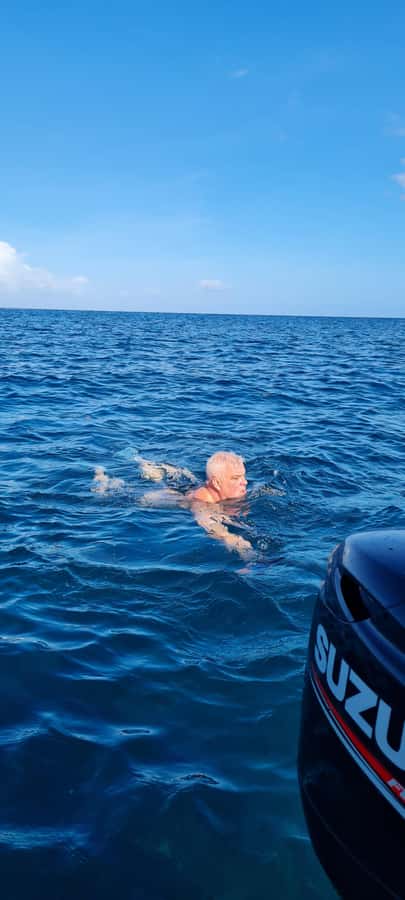Mauritius: Snorkel and Swim with Dolphins on Speedboat Tour - Swimming with moving dolphins