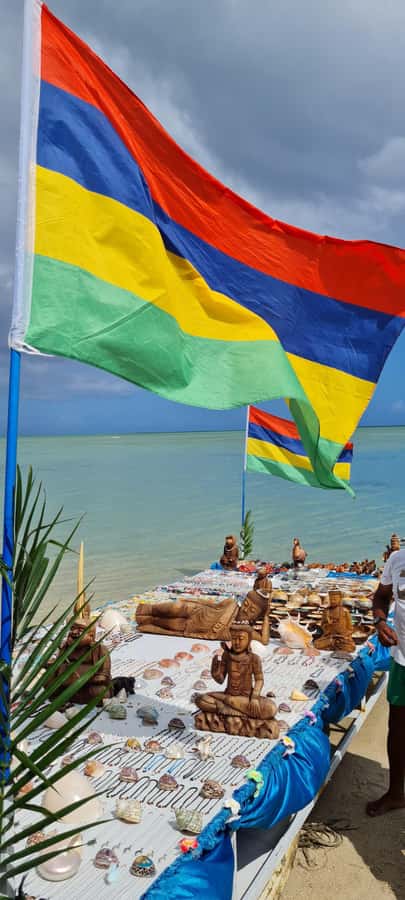 Mauritius: Snorkel and Swim with Dolphins on Speedboat Tour - Captain Jerome and the crew’s role