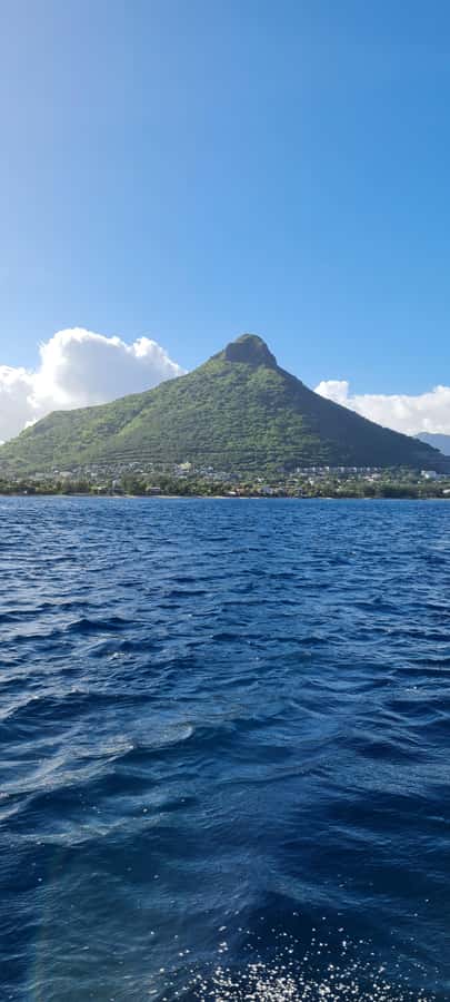 Mauritius: Snorkel and Swim with Dolphins on Speedboat Tour - Drinks, missing juices, and what to bring