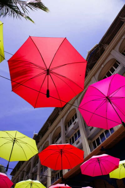 Snorkeling with Turtles & Port Louis Street Food