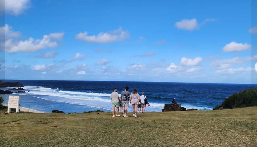 Mauritius: South Coast Tour with Tea Factory & Gris Gris - Starting with tea at Bois Chéri