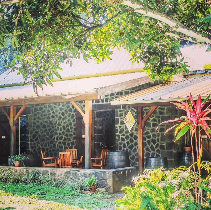 Mauritius: South of the Island Private Full-Day Tour - A three-course Mauritian lunch