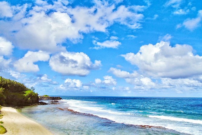 Mauritius South Tour Including Blue Bay Glass Bottom Boat & Snorkelling - La Vanille Nature Park: big animals in a small area