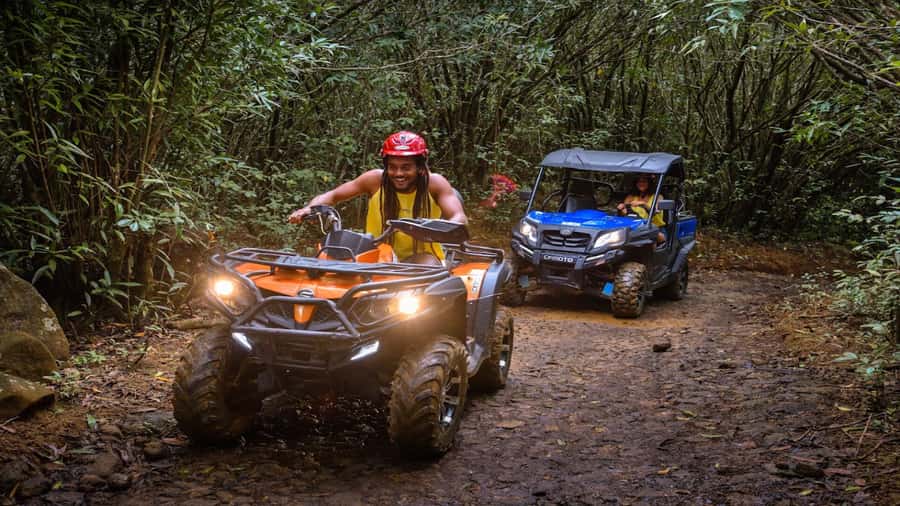 Mauritius: Southern Tour w/La Vanille & Le Morne Beach - Valle Advenature Park: Pay Extra for the Thrills