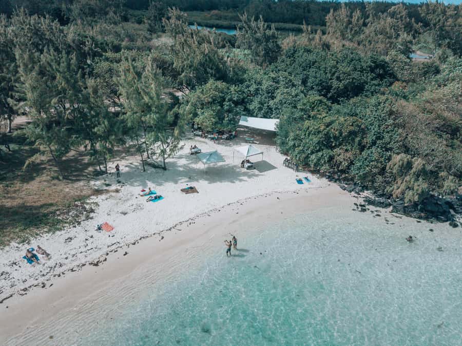 Mauritius: Speedboat Tour to Ile aux Cerfs with Lunch - Why this east-coast outing works so well