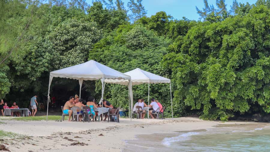 Mauritius: Speedboat Tour to Ile aux Cerfs with Lunch - The Grande Rivière South East waterfall by boat