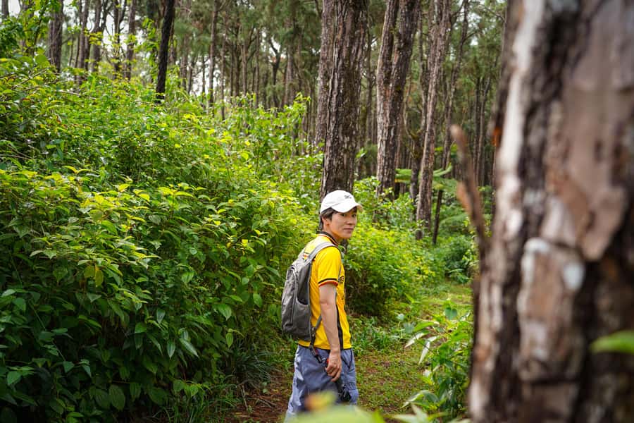 Mauritius: Sunrise Mountain Hike with Southwest Road-trip - Key points at a glance