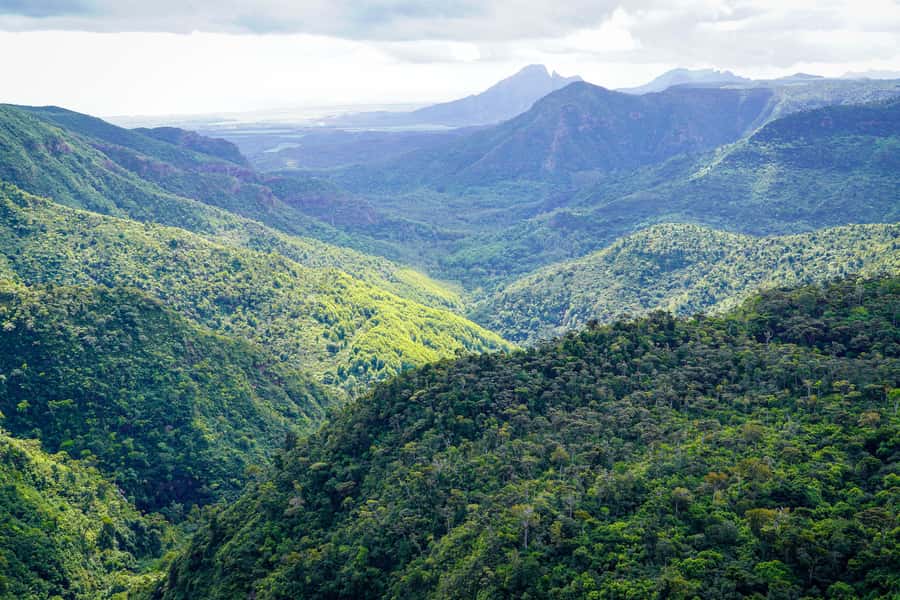 Mauritius: Sunrise Mountain Hike with Southwest Road-trip - Chamarel’s quiet viewpoint and short forest walk