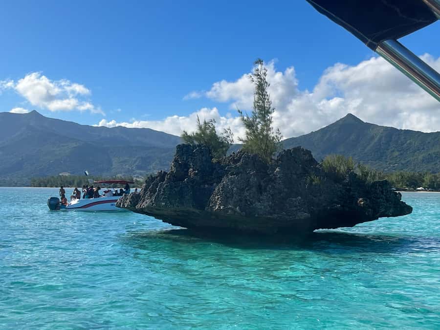 Mauritius: Swim with Dolphins, Crystal Rock & Lunch - Snorkeling in turquoise lagoon water