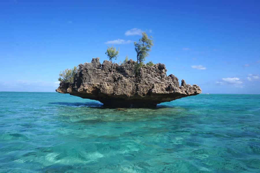 Mauritius: Swim with Dolphins Full-Day with Lunch/Drinks - Starting at La Preneuse with breakfast at 7:45