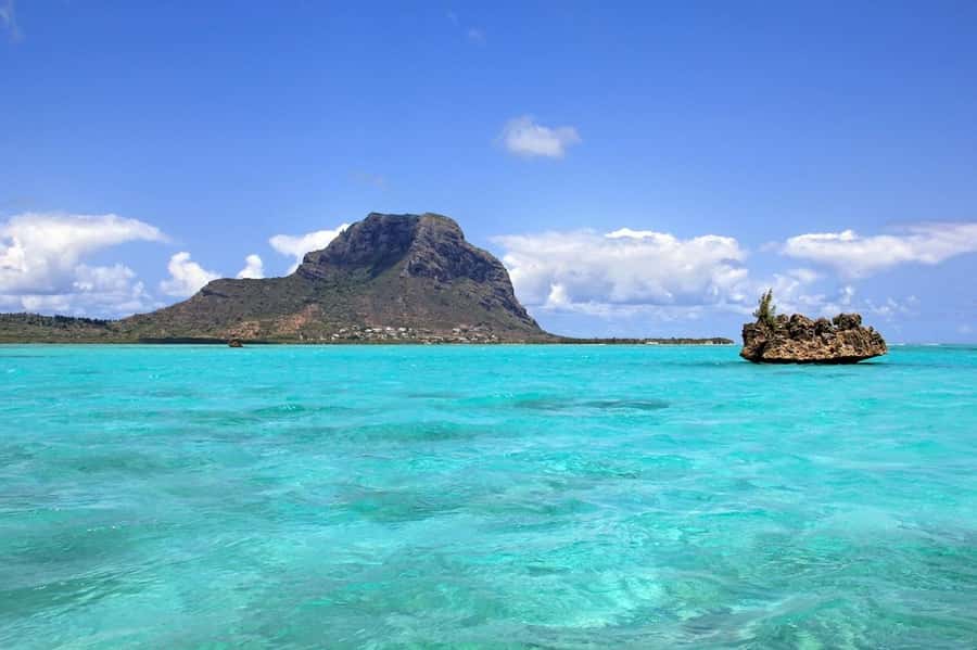 Mauritius: Swim with Dolphins Full-Day with Lunch/Drinks - Who will enjoy this day most